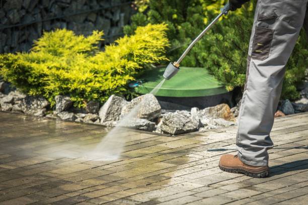 Best Dumpster Area Cleaning  in Warrensburg, IL